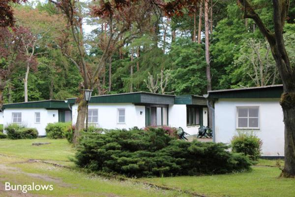 Meeressterne Ferienresort Damerow Koserow Екстериор снимка